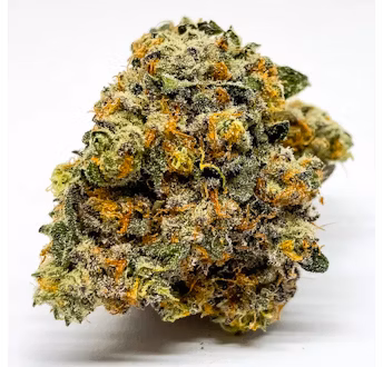 Photograph of product: Motorbreath | Flower | 3.5g