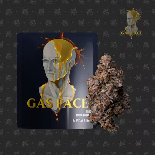 Photograph of product: AU Seed Junky: Gas Face (H) Prepackaged 3.5G