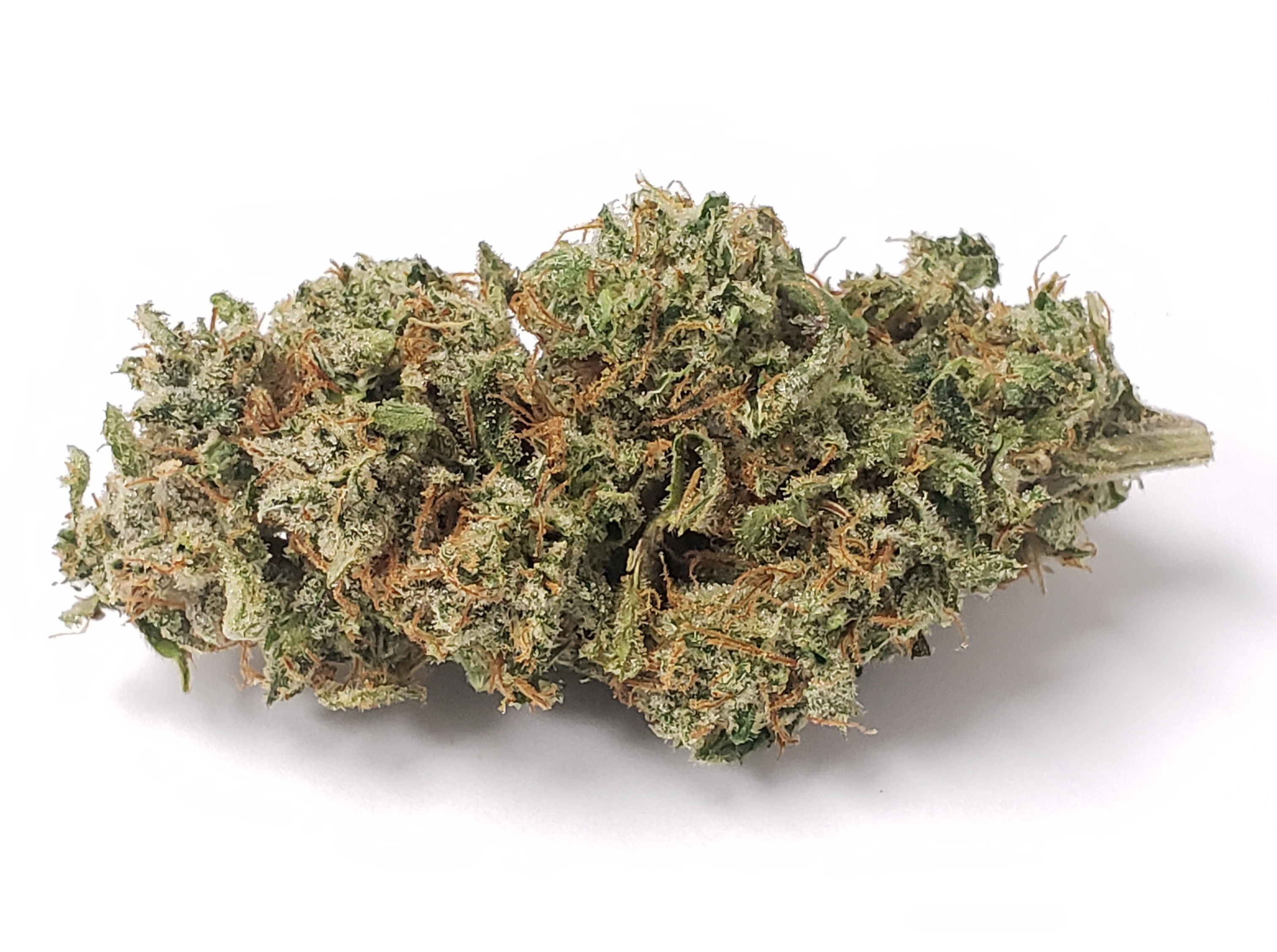 Photograph of Product: SourJack-Flower-|Sativa-Dominant|HRBD - 3.5g