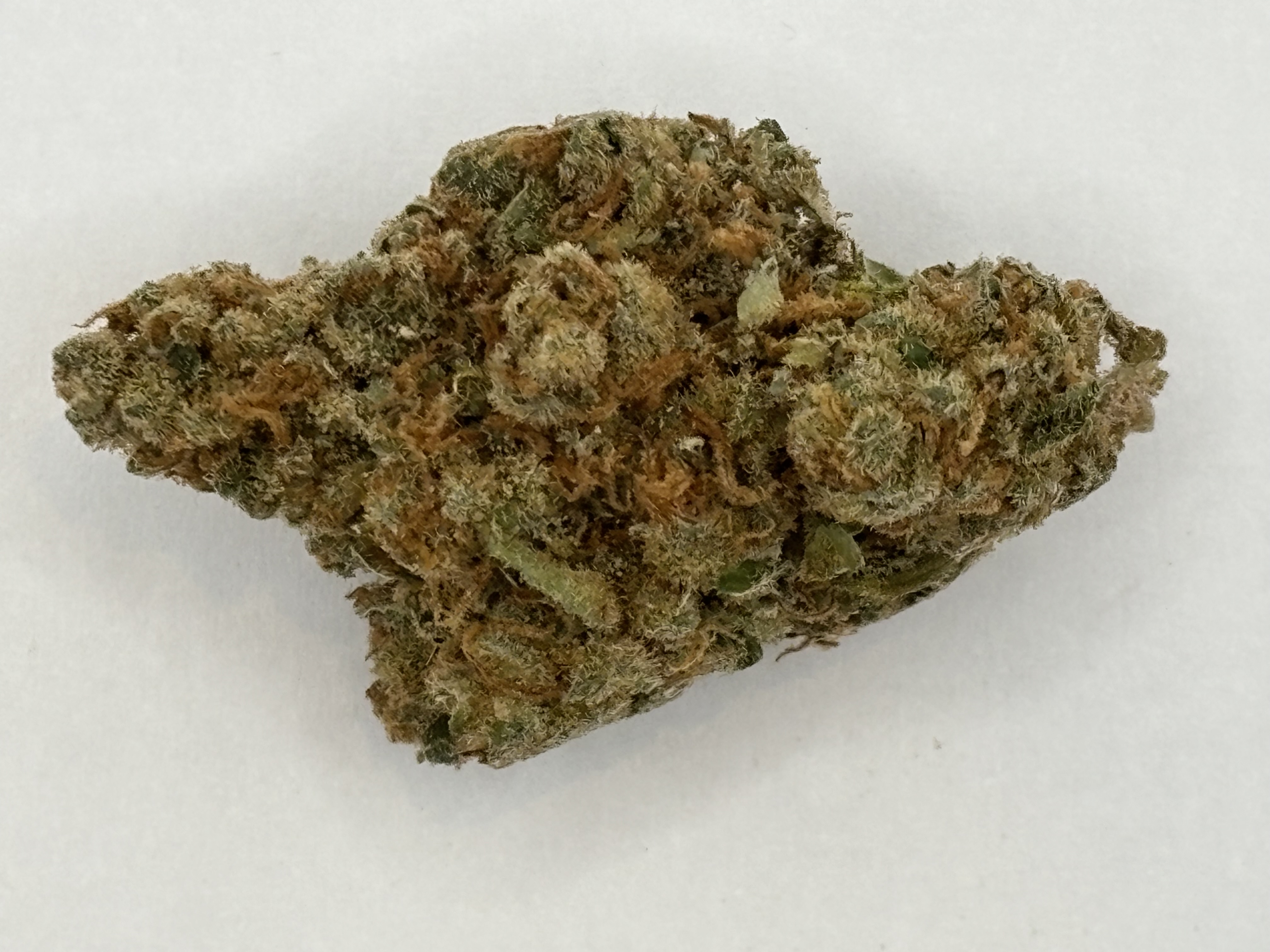 Photograph of product: Jack Herer 1/8th - 3.5g