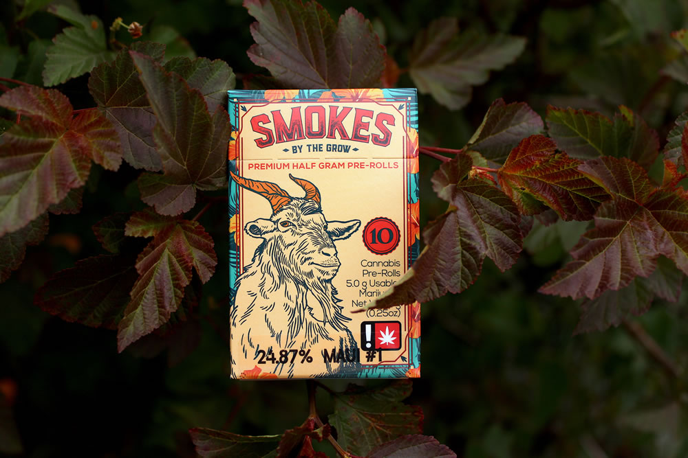 Photograph of product: Chocolate Shake 10 PK Joints (Smokes)