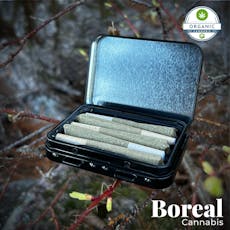 Photograph of product: Boreal Oui'd | Pictured Rox | .5g 5pck