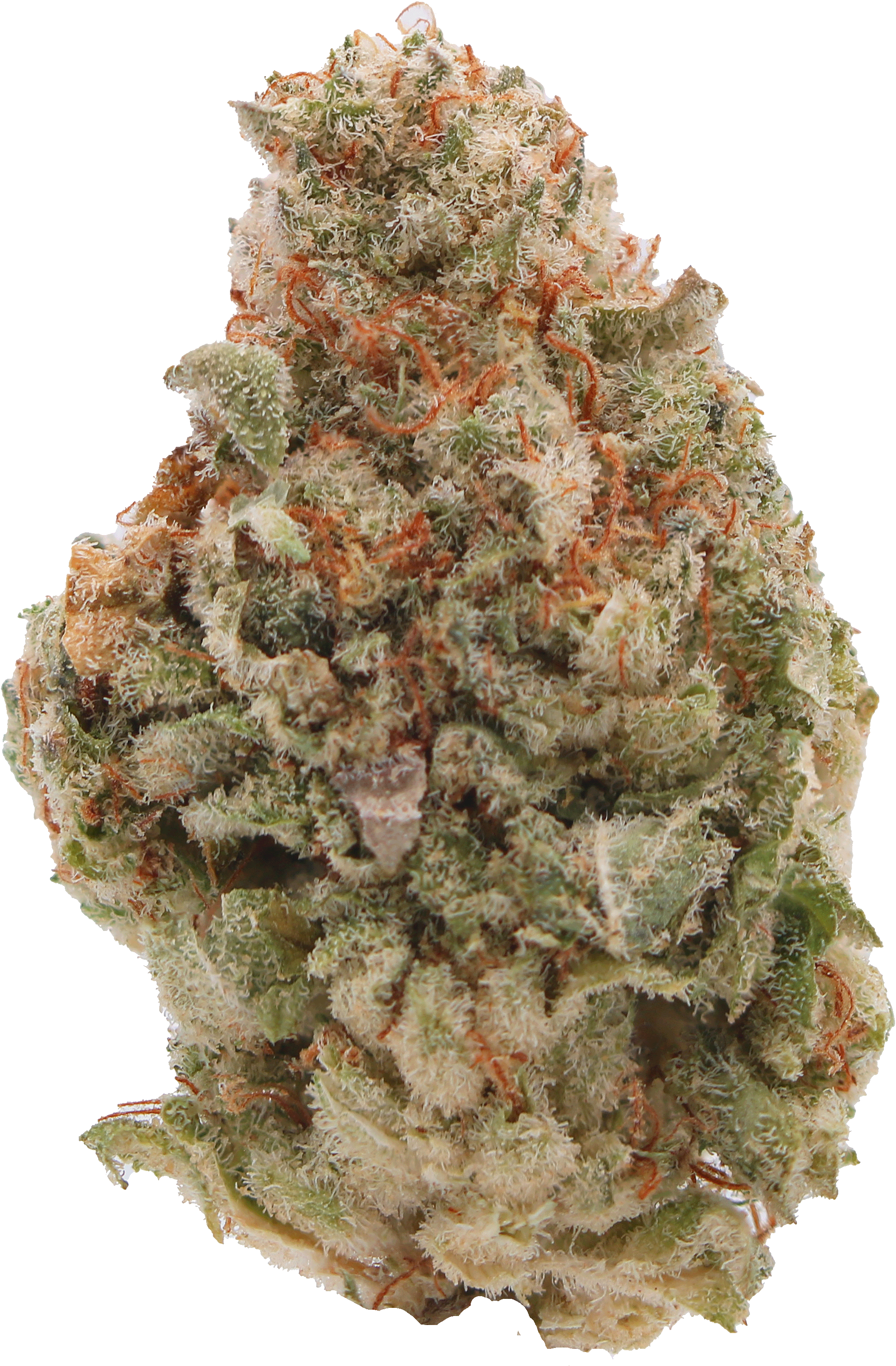 Photograph of product: Deadhead Gorilla
