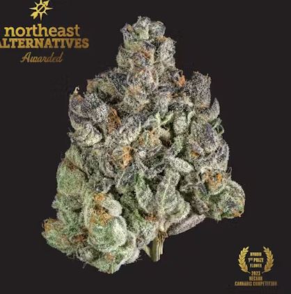 Photograph of product: Kine Garlic Cookies Buds - 3.5g