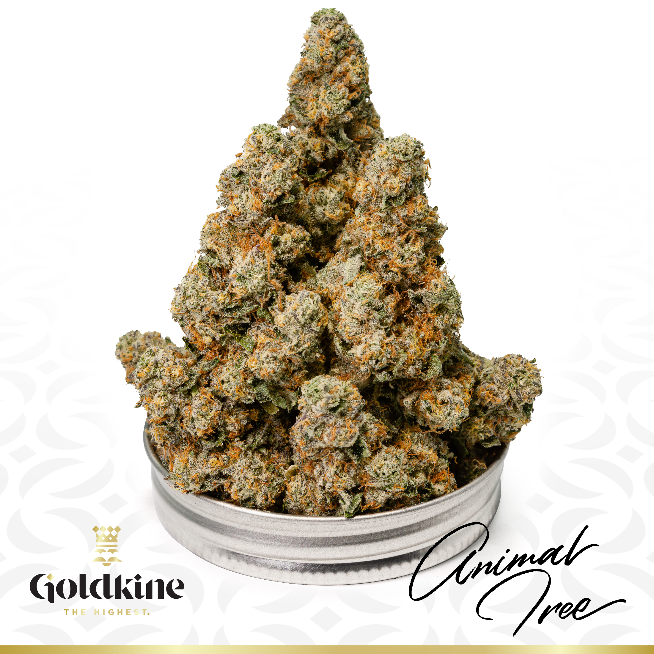 Photograph of product: Goldkine | Animal Tree | Bulk Flower | Yellow Tier - 28g