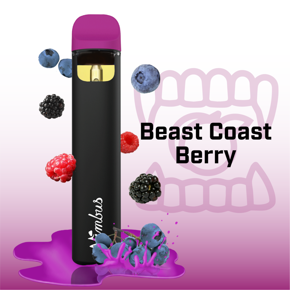 Photograph of product: Beast Coast Berry Disposable Vape - Nimbus