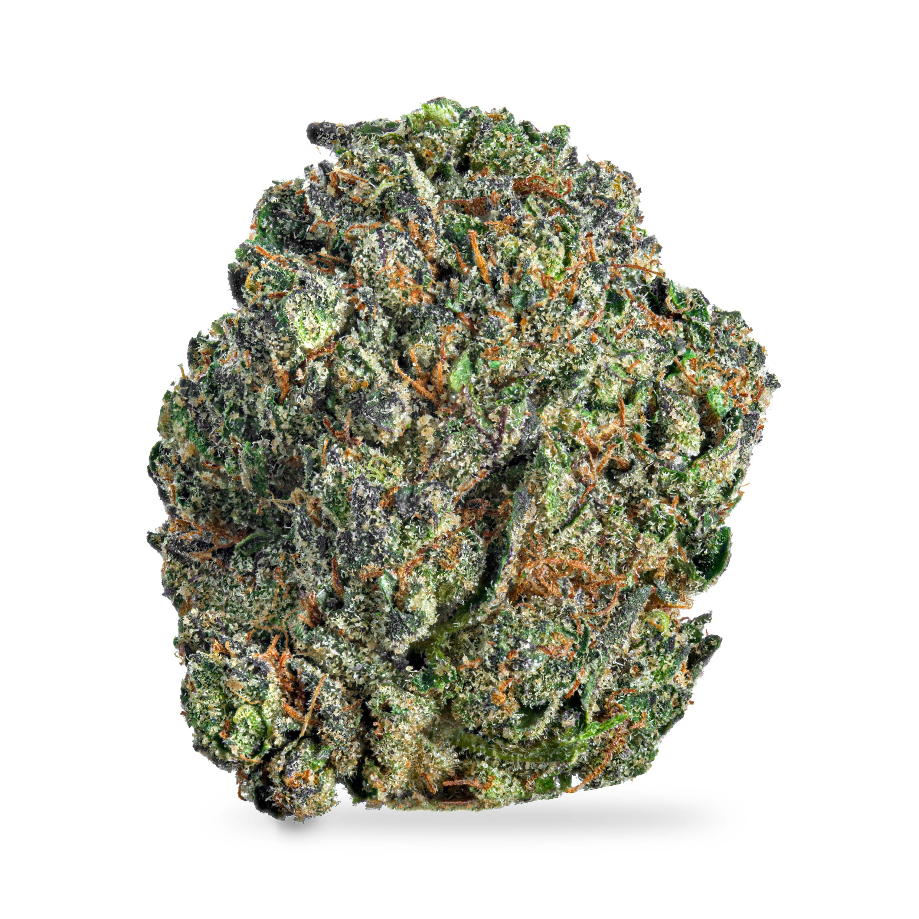 Photograph of product: Ice Cream Cake x Gelato Mints - 3.5g