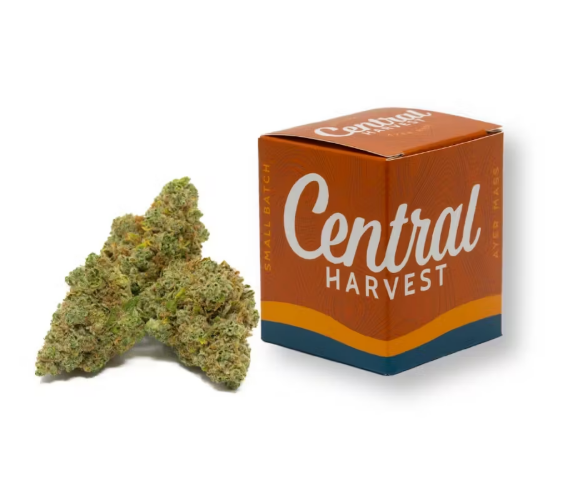 Photograph of product: Humboldt Sour Diesel 1/8 30.62% TAC - 28g