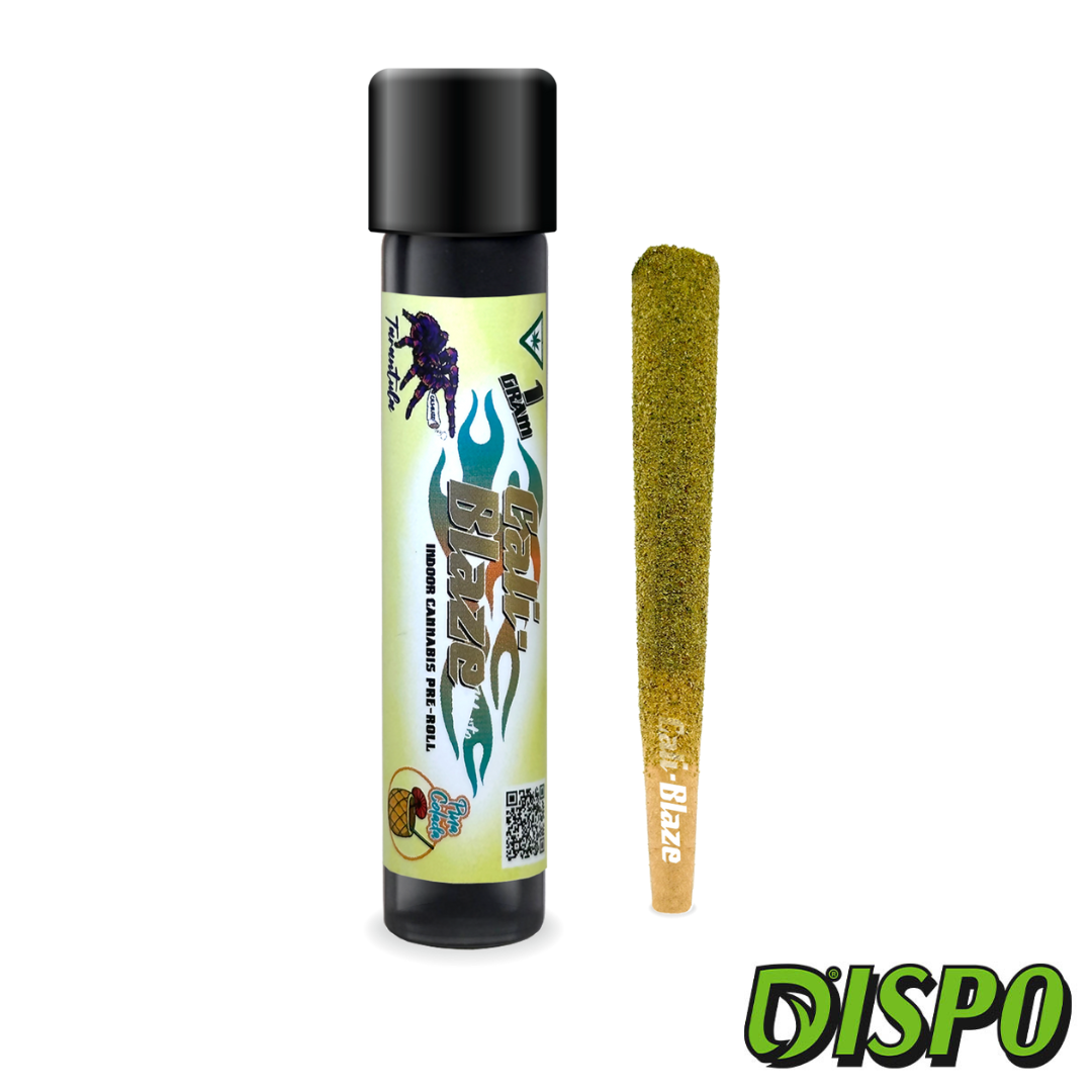 Photograph of product: Cali Blaze - Pina Colada 1G Infused Tarantula
