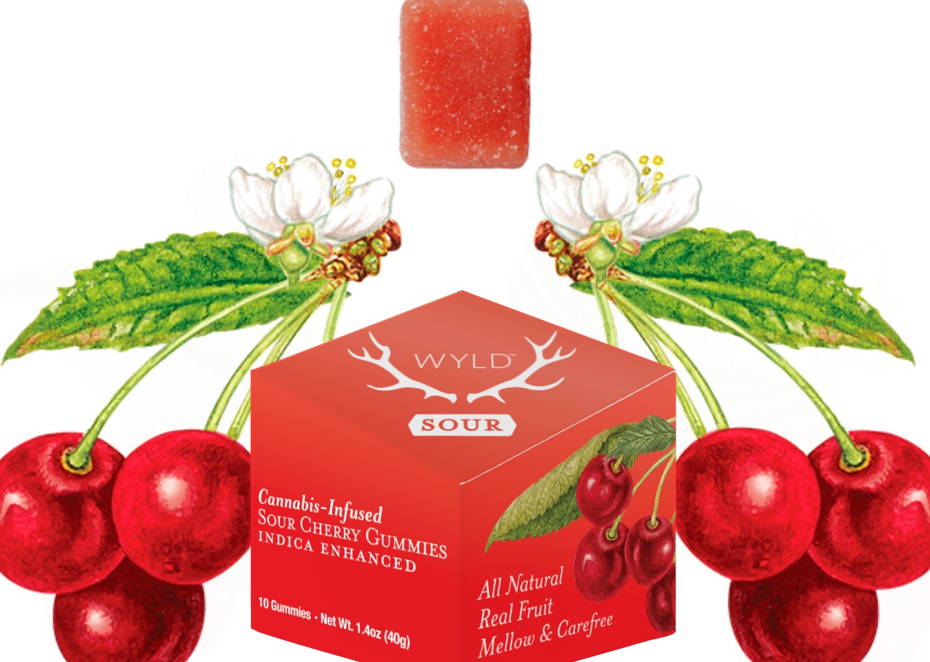 Photograph of product: Boxed Sour Cherry Gummy