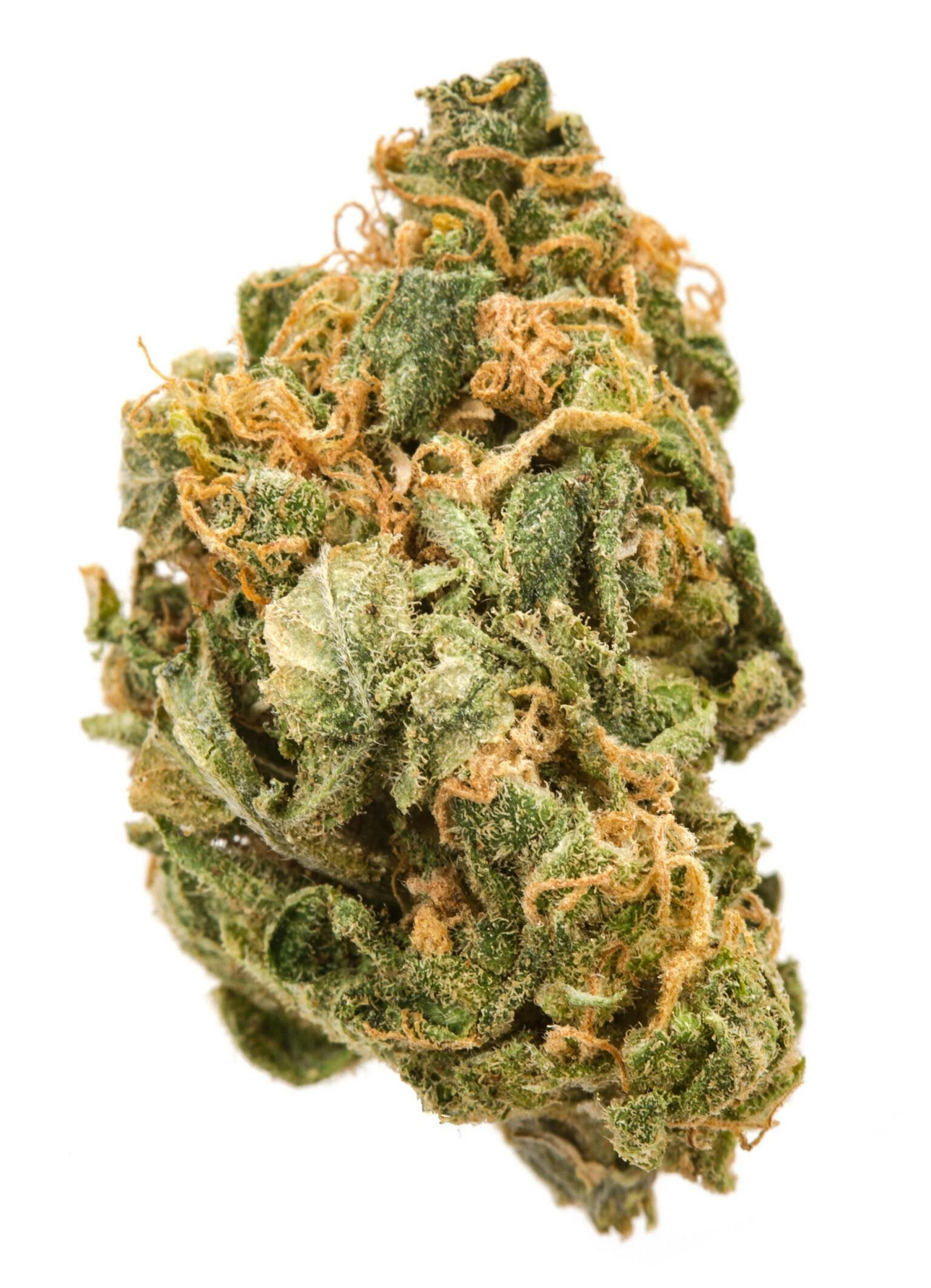 Photograph of product: Pruf Cultivar Kaizen - 28g