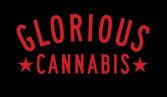 Photograph of product: Carbon Fiber | Flower - 3.5g