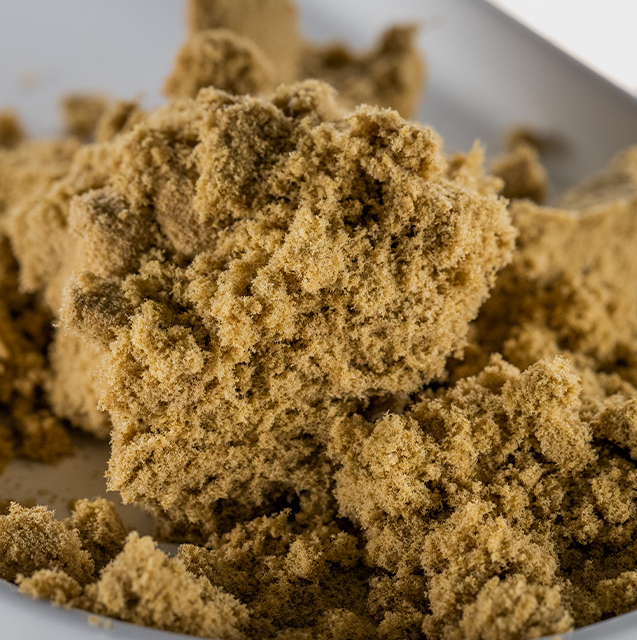 Photograph of product: Kief - Rootbeer Headband