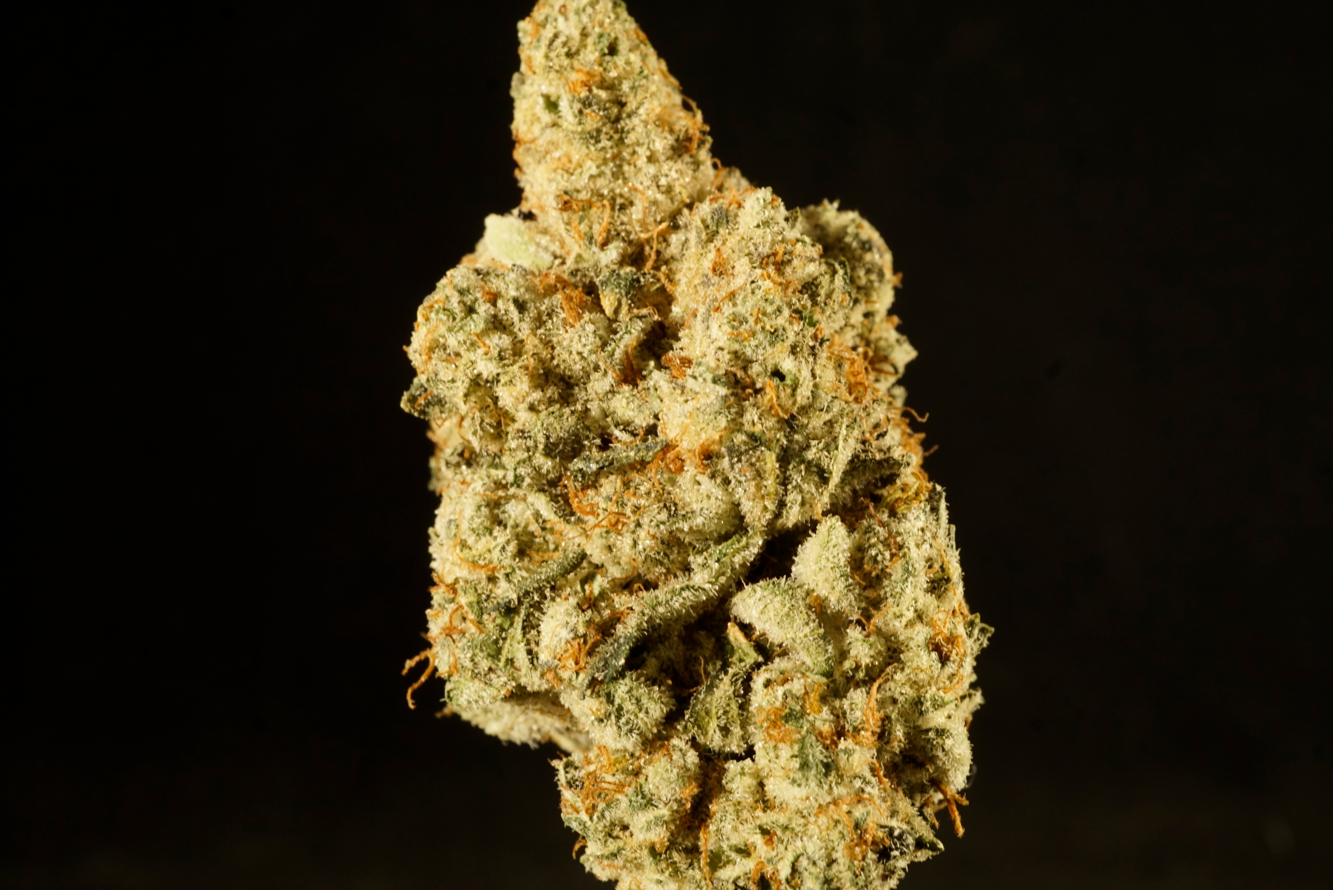 Photograph of product: Mob Boss - 1g
