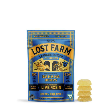 Photograph of Product: 200MG LOST FARMS GOLDEN PINEAPPLE ROSIN GUMMMIES