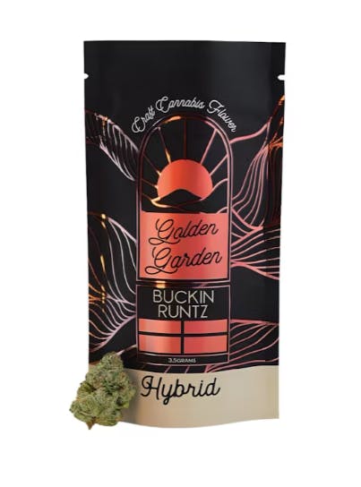 Photograph of Product: Golden Garden | Buckin Runtz | Whole Flower - 3.5g