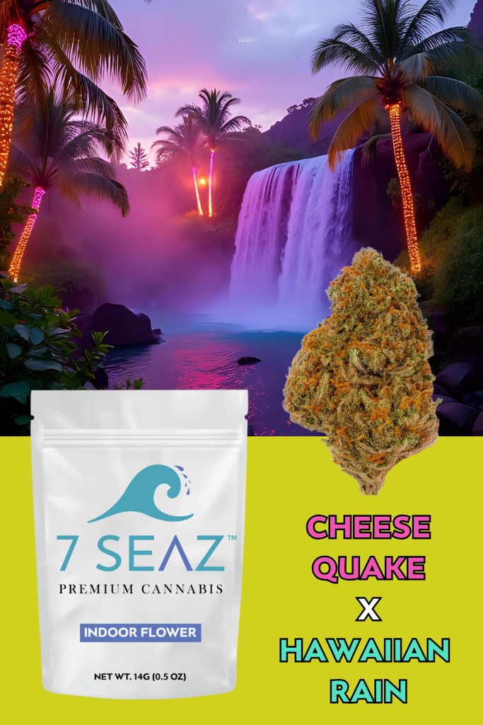Photograph of product: Cheese Quake x Hawaiian Rain Flower | 7SEAZ - 14g