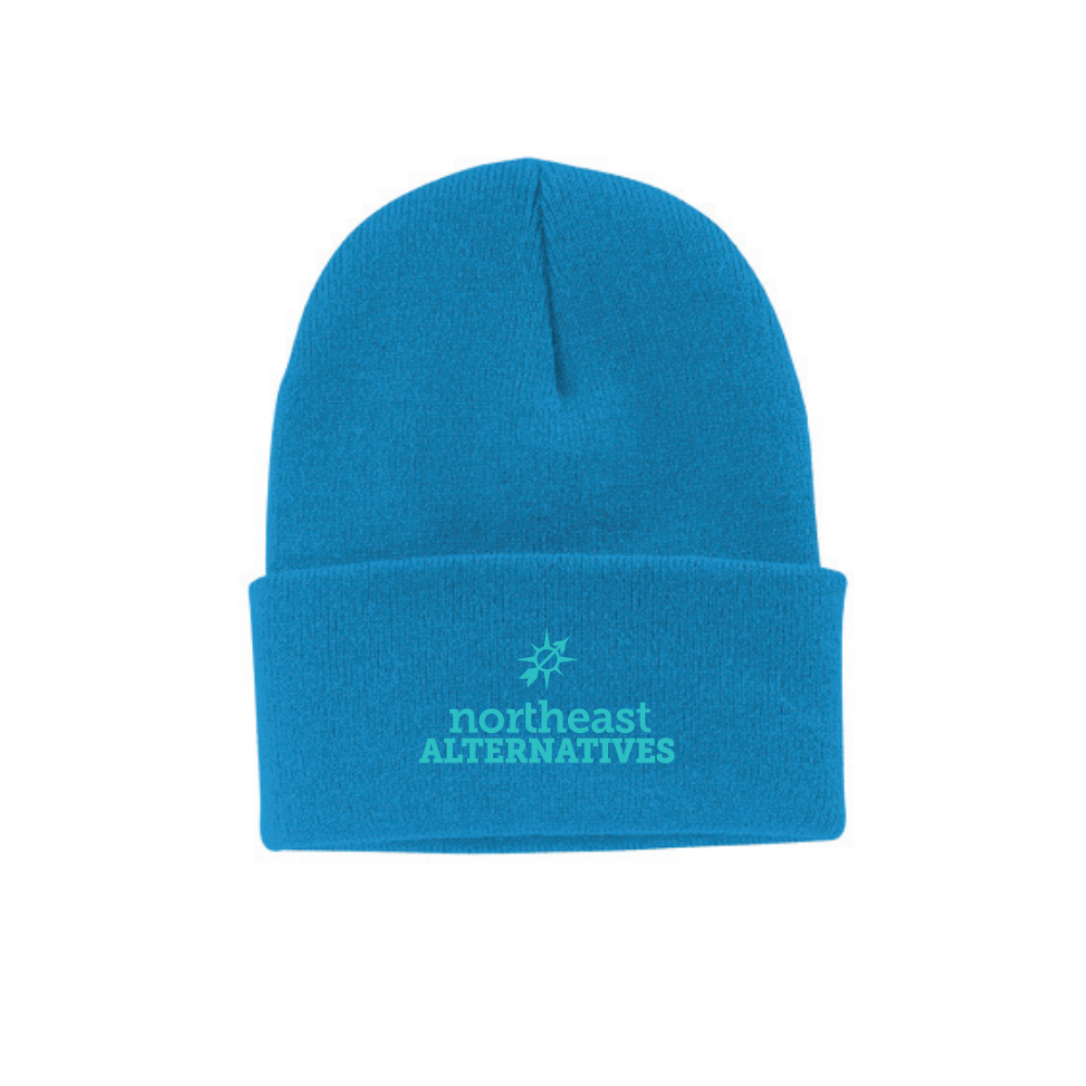 Photograph of product: NEA Teal Blue Beanie