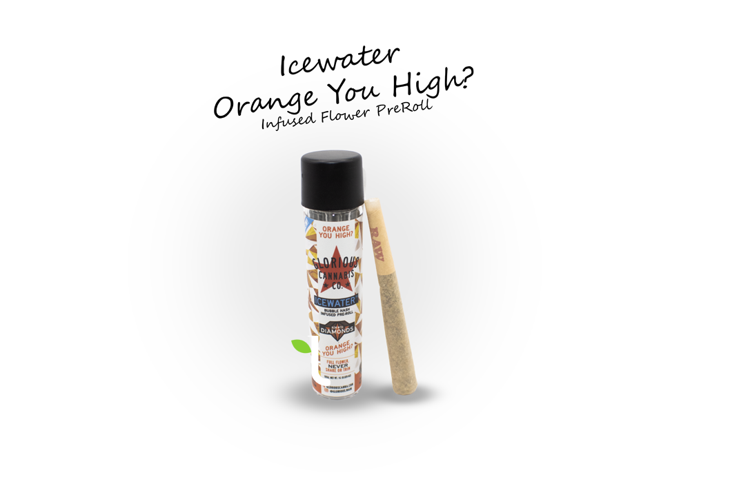 Photograph of product: Glorious Oui'd Co. | Orange You High | 1g Icewater au chocolat & Diamonds Infused Pre-Roll