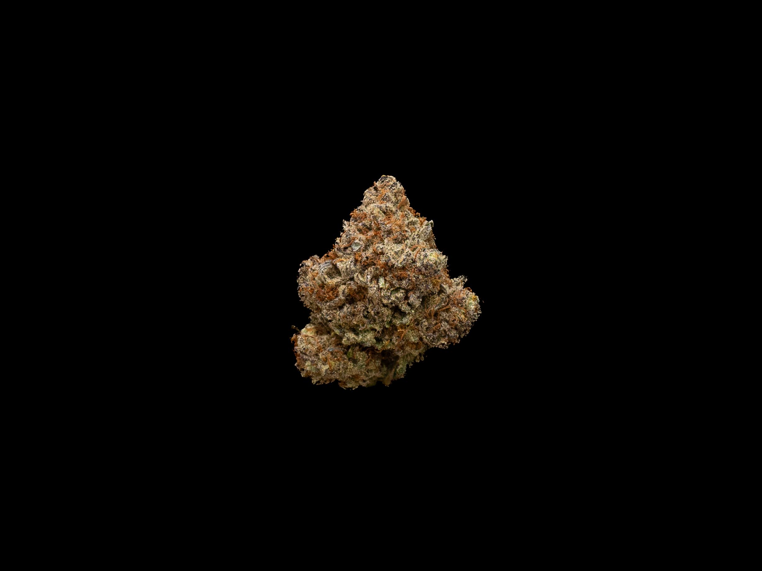 Photograph of product: Bad Apple - Bulk Flower - 28g