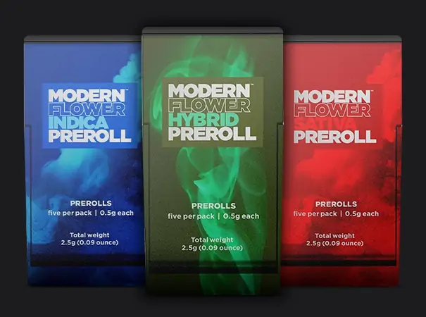 Photograph of product: Modern Flower Legendary GMO PRJ (5ct)