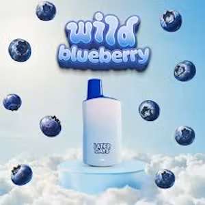 Photograph of product: Wild Blueberry | Disposable Vape