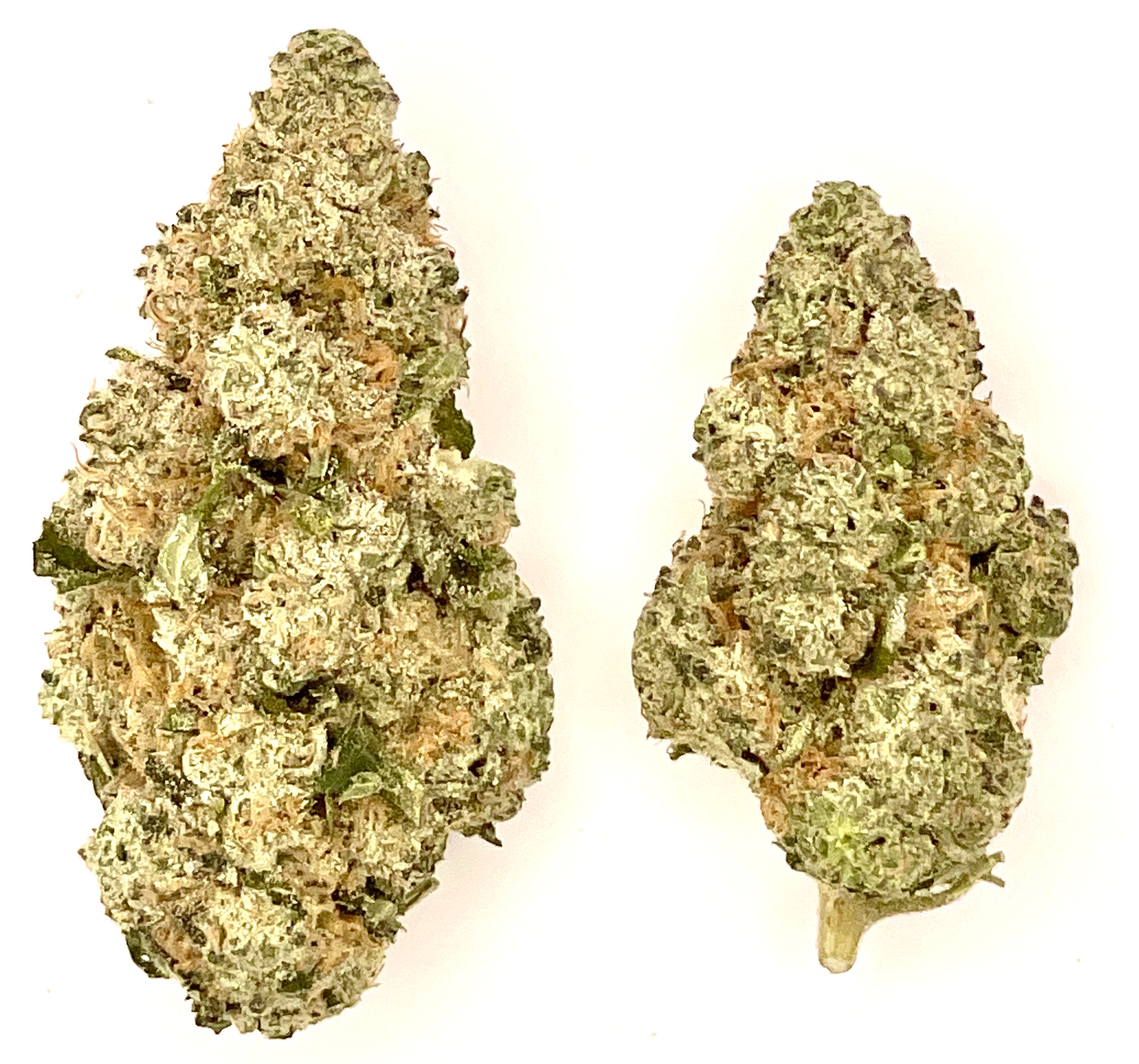 Photograph of product: Buds | Donny Berger - 28g