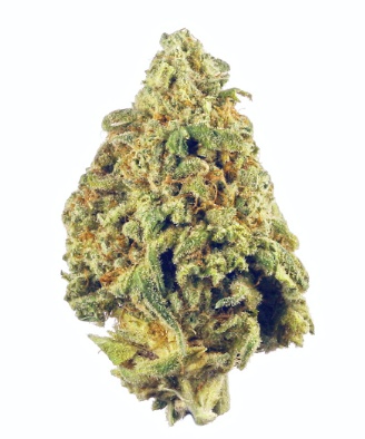 Photograph of product: Atta Prodigal Child Flower | 3.5g
