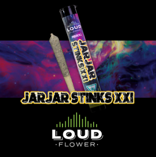 Photograph of product: Jar Jar Stinks #21 | MI LOUD