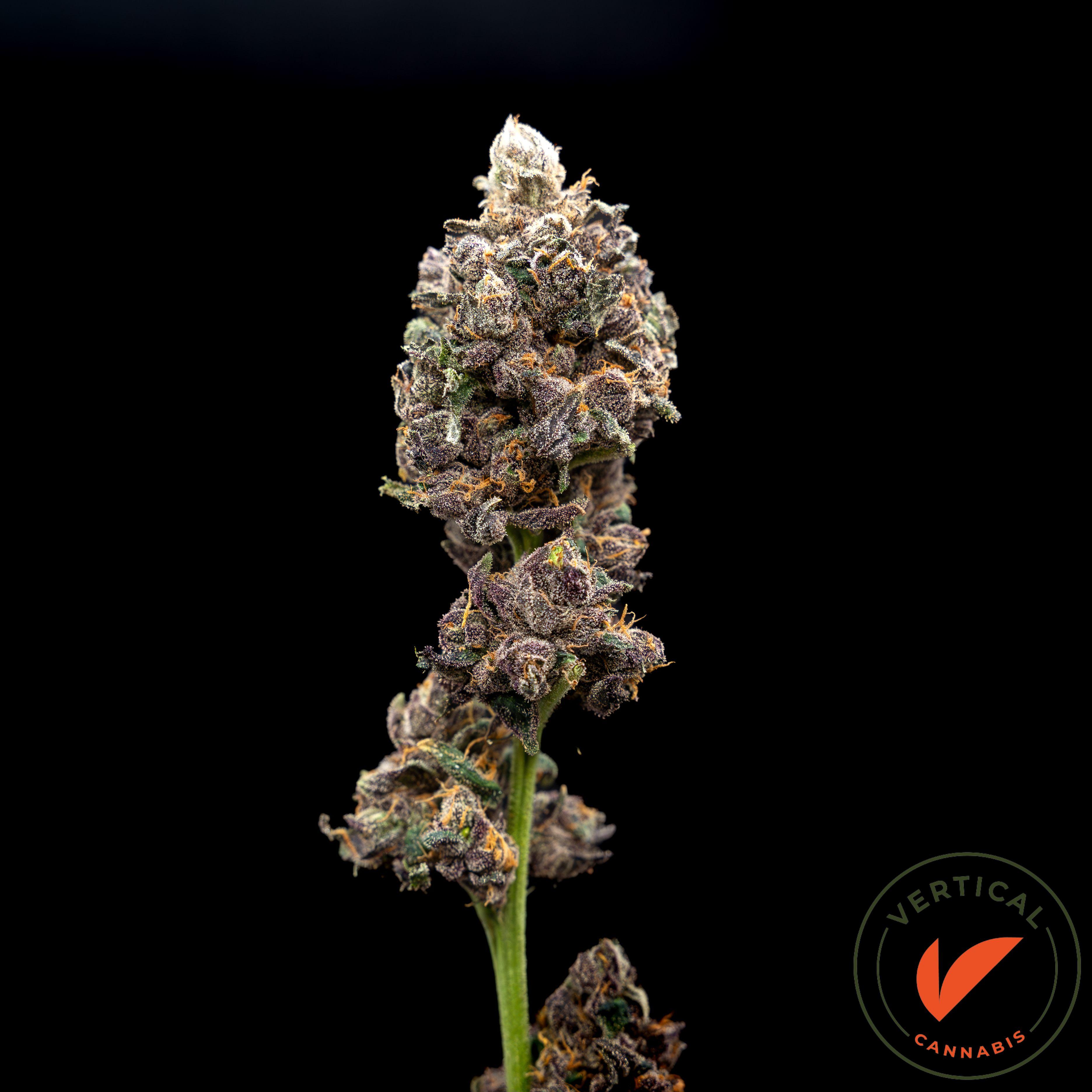 Photograph of product: Garlic Budder | 3.5g