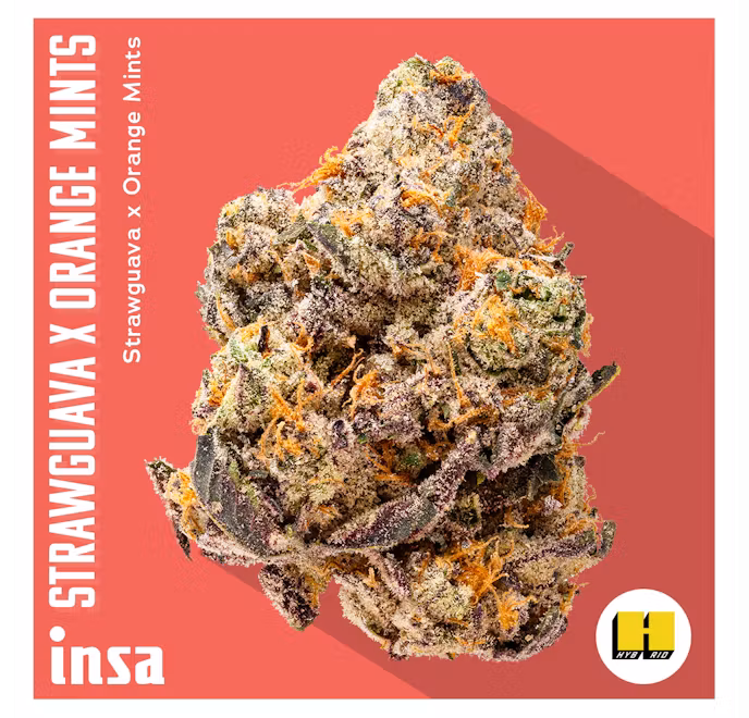 Photograph of product: StrawGuava x Orange Mints - 3.5g