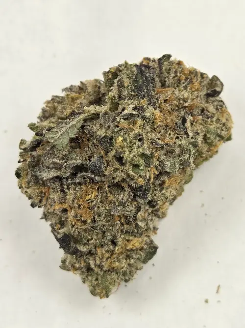 Photograph of product: Dante's Cookie Jar