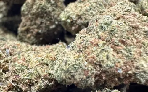 Photograph of product: True OG