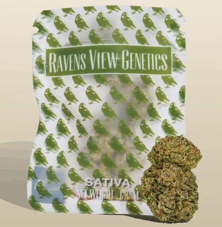 Photograph of product: Ravens View Genetics | Flower | Lemon Pines - 1g