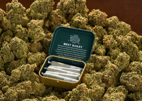 Photograph of product: Animal Face Preroll 12pk | 4.2g