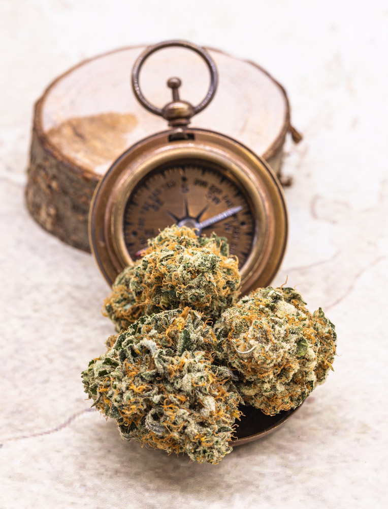 Photograph of product: Guicy Banger | 3.5g Flower