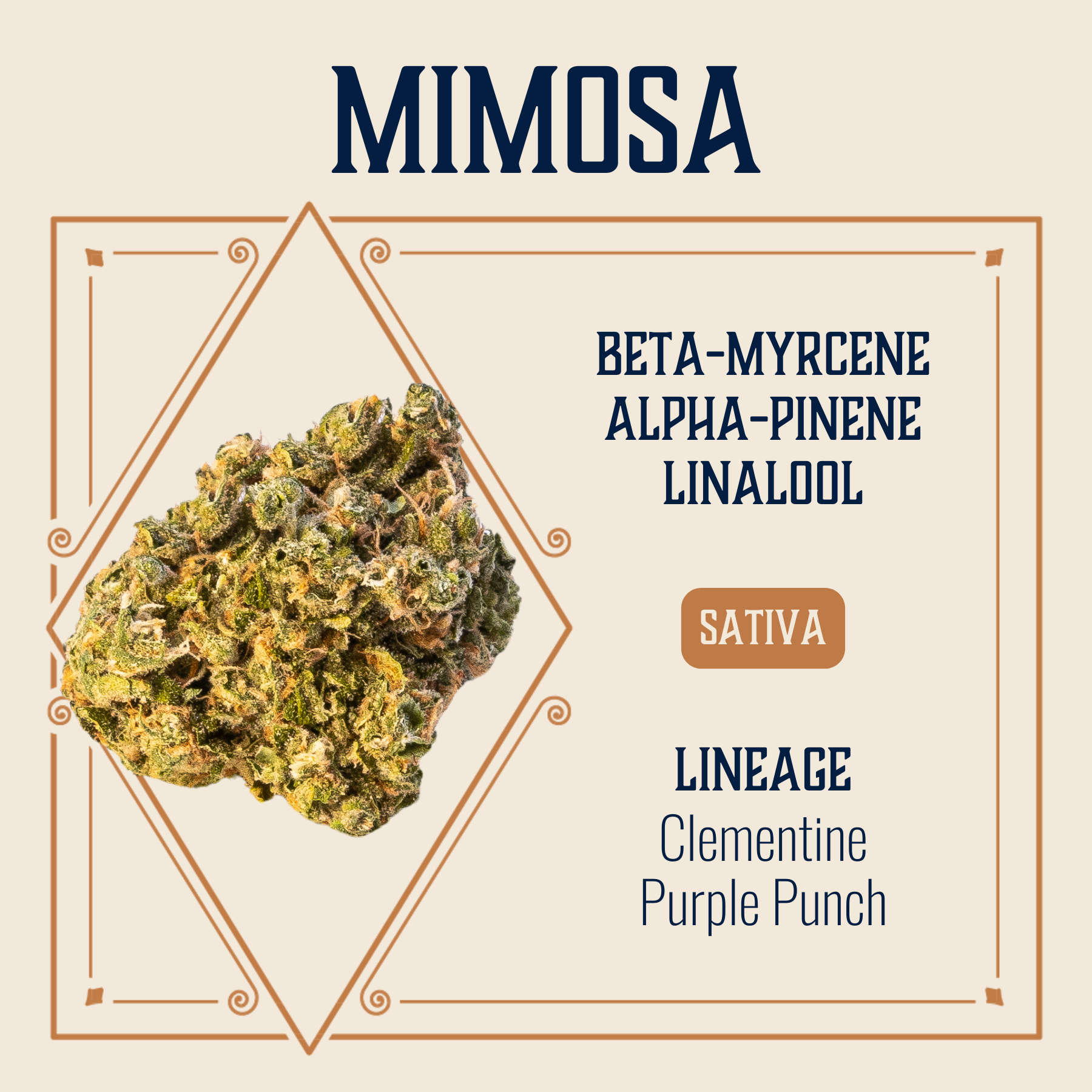 Photograph of product: MIMOSA 3.5G PAIRINGS