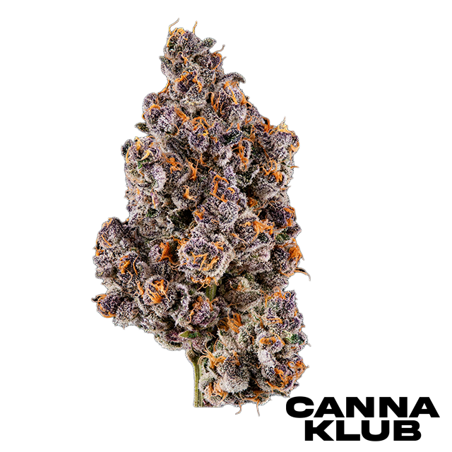 Photograph of product: FLORIDA PUNCH 3.5G 'GROWERS SELECT'