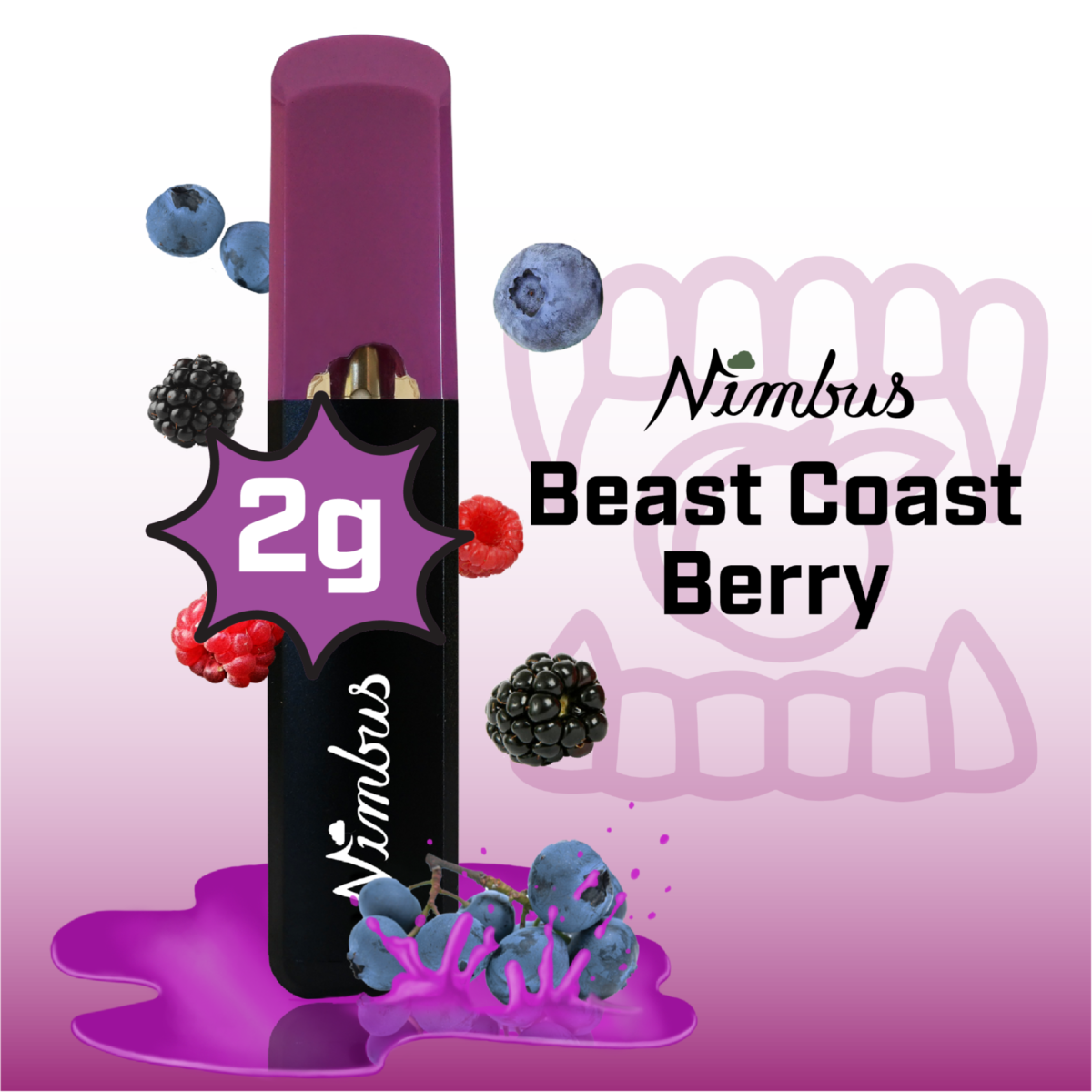 Photograph of product: Beast Coast Berry | Disposable | 2g Cart