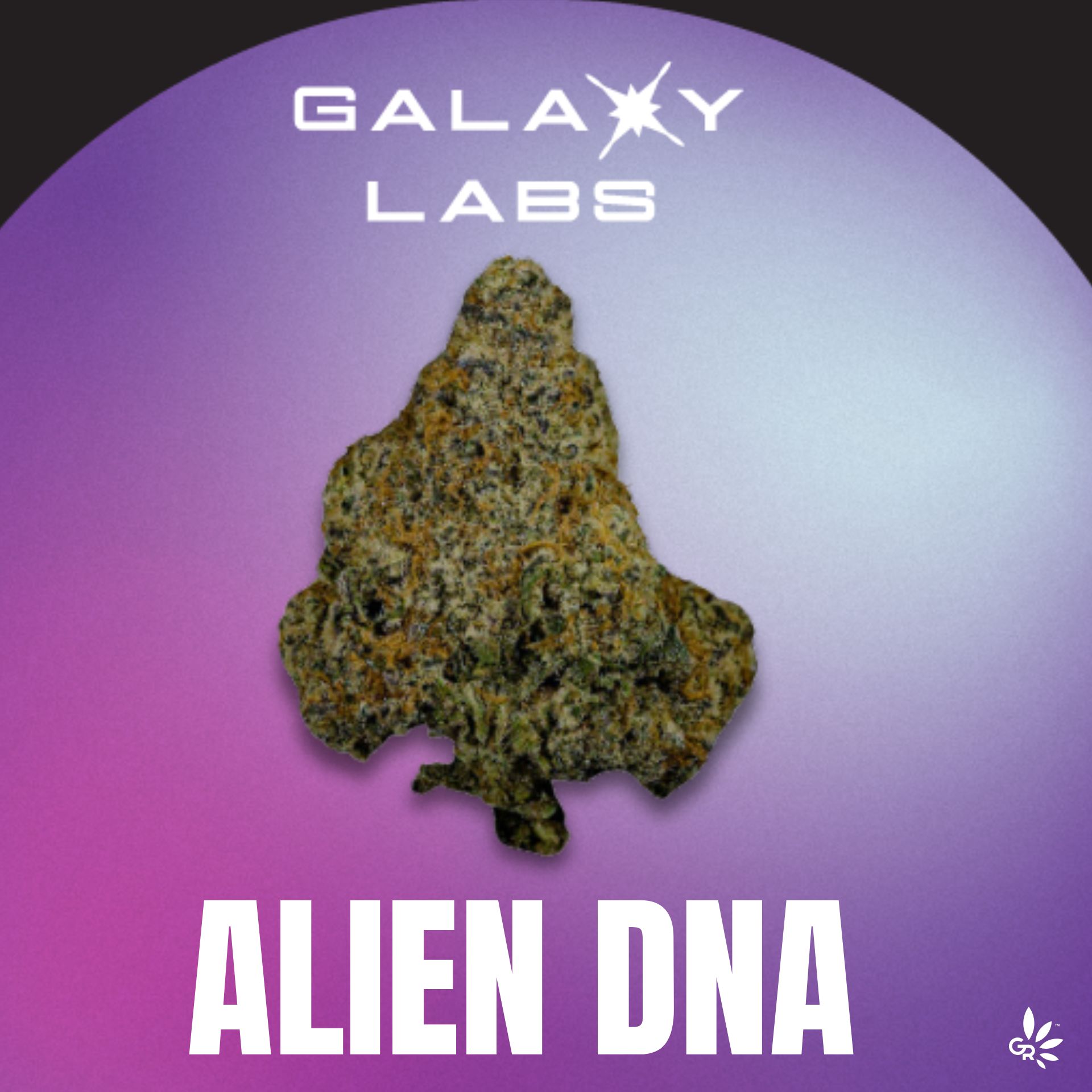 Photograph of product: Galaxy Labs - Flower - Bananaconda 4 - 14g