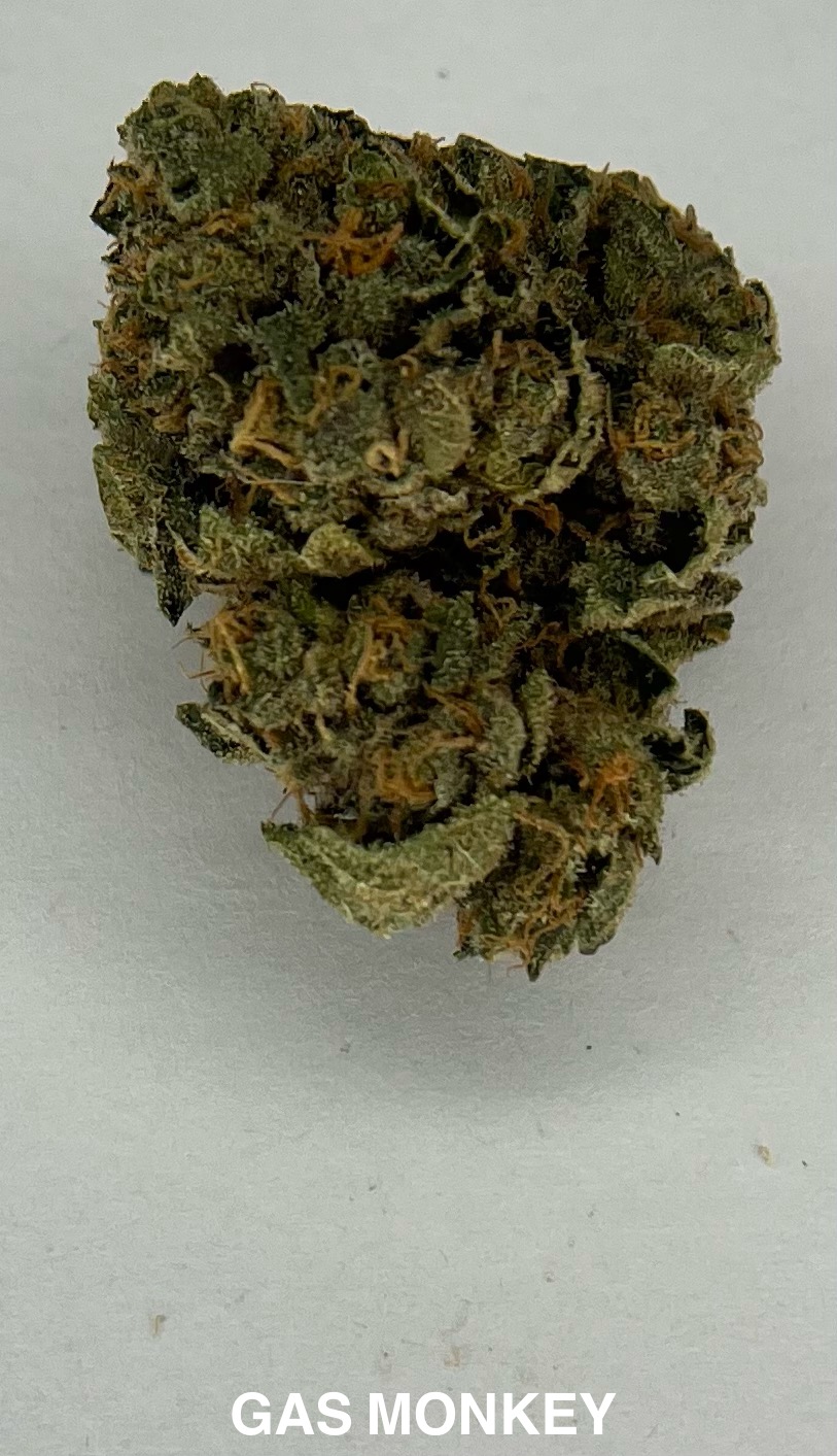 Photograph of product: Gas Monkey Flower- Legacy Gardens - 28g