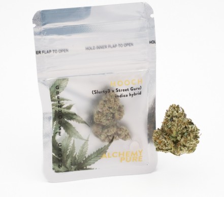 Photograph of product: Alchemy Pure | Hooch | Flower | 0.7g