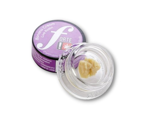 Photograph of product: Forte - Sugar Shock - Dabs Live Rosin
