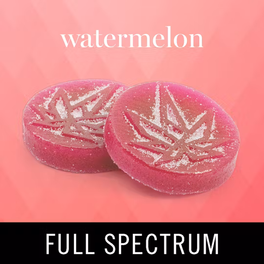 Photograph of product: Levitate | Watermelon Gummies | 200mg