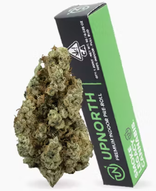 Photograph of product: GMO Pre-Roll 1g