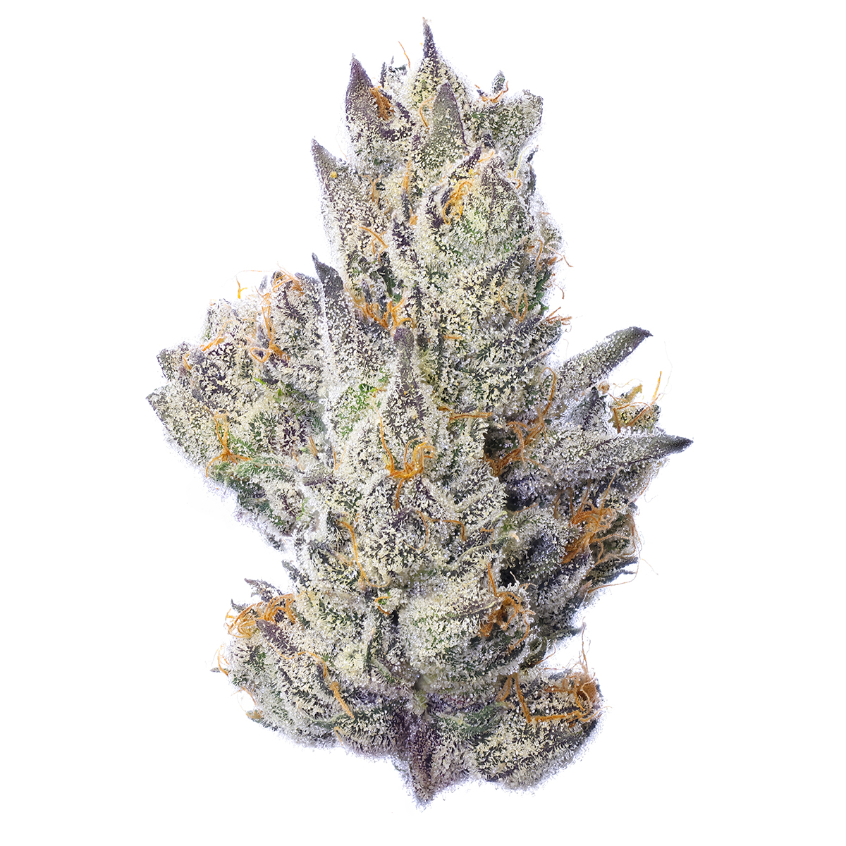 Photograph of product: Fig Farms Guavascotti 3.5g