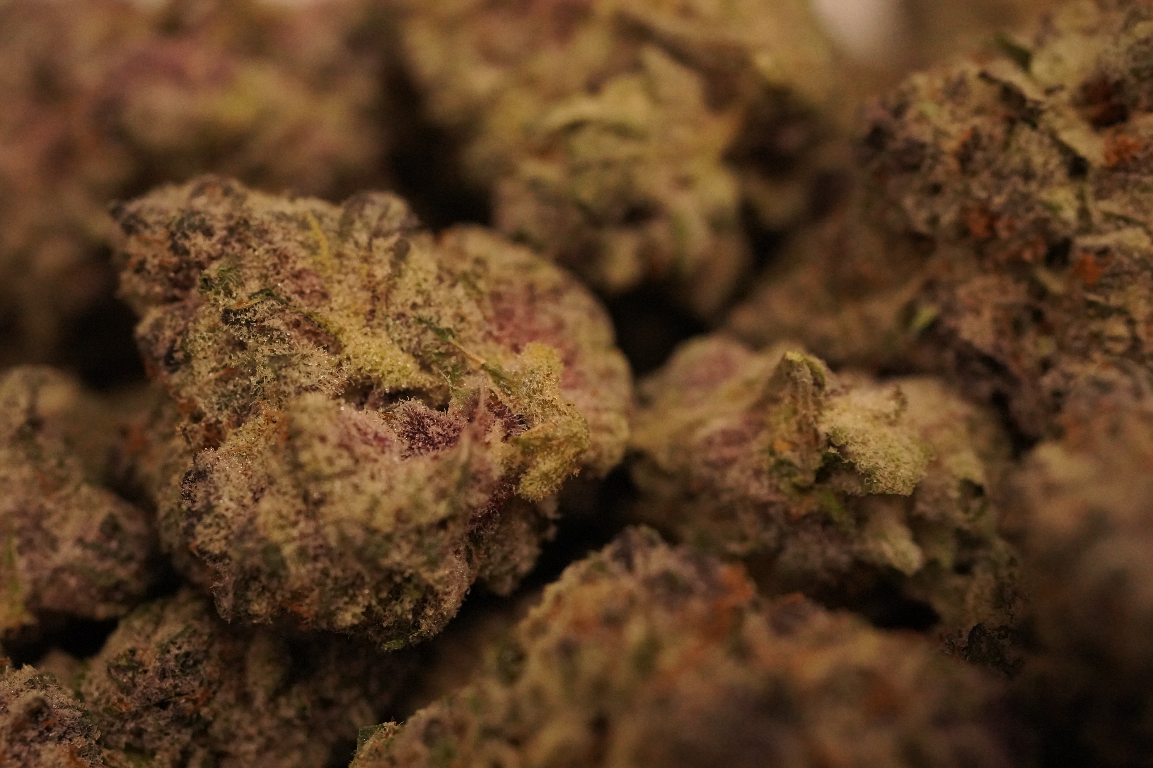 Photograph of product: (BULK) Super Boof - Hybrid - 28g