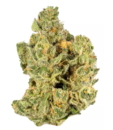 Photograph of product: Equinox Member Berry #3 Pre-Pack Flower - 28g