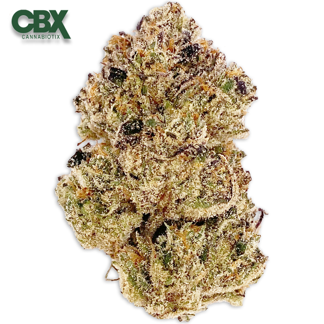 Photograph of product: BLUEBERT (3.5G)