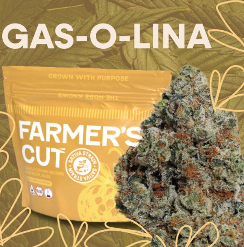 Photograph of product: Gas-O-Lina (S) - 28g